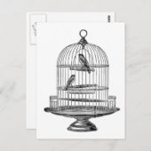  vogel met vogels...briefkaart briefkaart (Voorkant / Achterkant)