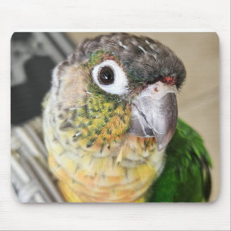 Vogel Muismat en Desk mat