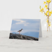 Vogel Natuur Foto Kaart (Gele Bloem)