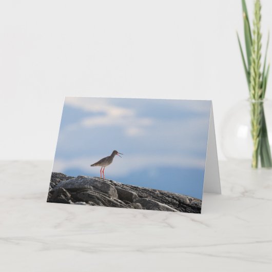 Vogel Natuur Foto Kaart (Voorkant)