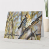 Vogel neergestreken op een tak - Verjaardag Kaart (Voorkant)