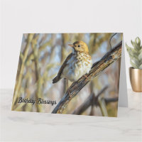 Vogel neergestreken op een tak - Verjaardag Kaart