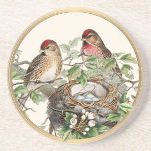 Vogel Nest Rode Pollen Lente Natuur Vintage Gouden Zandsteen Onderzetter