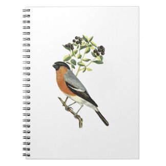 vogel notitieboek