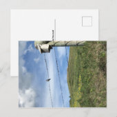 Vogel op Beer met prikkeldraad Paw-bergen Briefkaart (Voorkant / Achterkant)