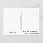 Vogel op Beer met prikkeldraad Paw-bergen Briefkaart (Achterkant)