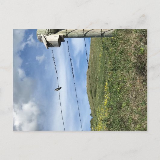 Vogel op Beer met prikkeldraad Paw-bergen Briefkaart (Voorkant)