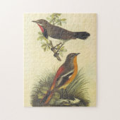 Vogel op bijkantoor, vogel op de grond, puzzle legpuzzel (Verticaal)