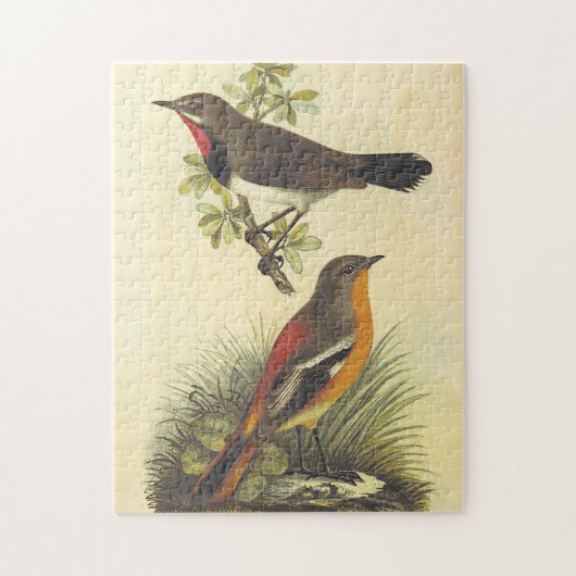 Vogel op bijkantoor, vogel op de grond, puzzle legpuzzel (Verticaal)