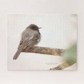 Vogel op bijkantoor Young Junvenile Black Phoebe J Legpuzzel (Horizontaal)