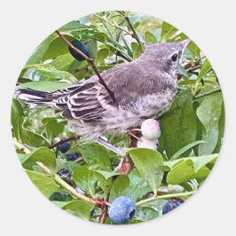 Vogel op Blueberry Branch Sticker