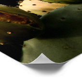 Vogel op Cactus Poster (Hoek)