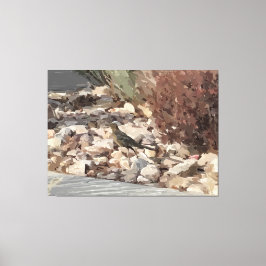Vogel op de rotsen op canvas print