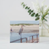 Vogel op de steiger - Corpus Christi, Texas Briefkaart (Staand voorkant)