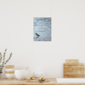 Vogel op de Strand Poster (Keuken)