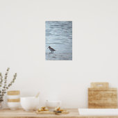 Vogel op de Strand Poster (Keuken)
