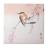 Vogel op de Wapende Cherry - Shidarezakura in koto Tegeltje (Voorkant)