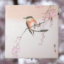 Vogel op de Wapende Cherry - Shidarezakura in koto