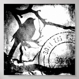 Vogel op een bijkantoor, zwart en wit poster