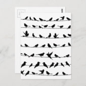 Vogel op een draad4 briefkaart (Voorkant / Achterkant)
