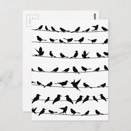 Vogel op een draad4 briefkaart (Voorkant / Achterkant)