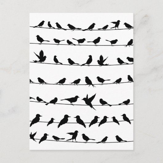 Vogel op een draad4 briefkaart (Voorkant)