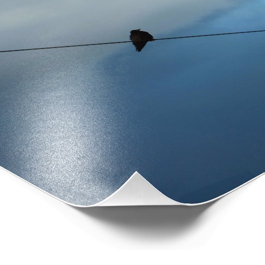 Vogel op een draad foto afdruk (Hoek)