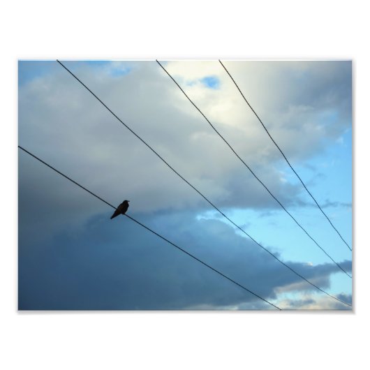 Vogel op een draad foto afdruk (Voorkant)
