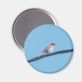 Vogel op een draad magneet (Voorkant / Achterkant)