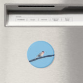 Vogel op een draad magneet (Insitu (Vaatwasser))