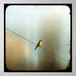 Vogel op een drager poster