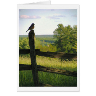 Vogel op een Fence-kaart