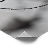 Vogel op een filiaal poster (Hoek)