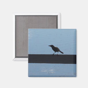 Vogel op een hek magneet