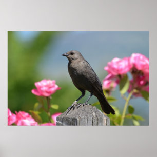 Vogel op een hek poster