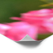 Vogel op een hek poster (Hoek)