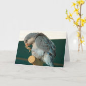 Vogel op een Perch Kaart (Gele Bloem)