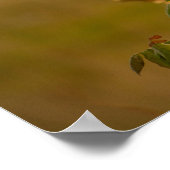 Vogel op een Poster van de Tak (Hoek)