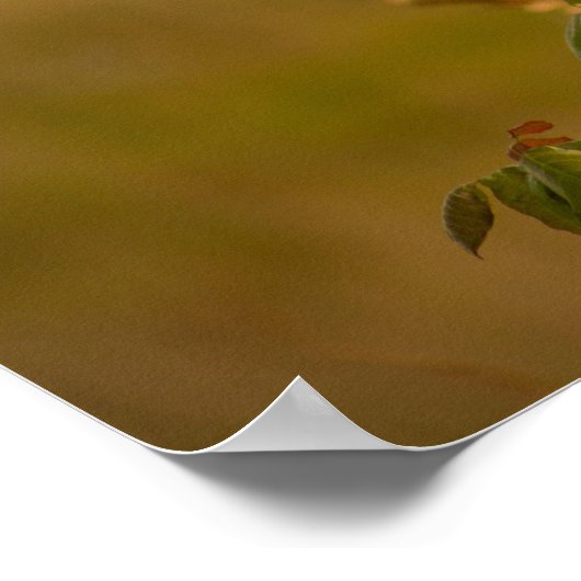 Vogel op een Poster van de Tak (Hoek)