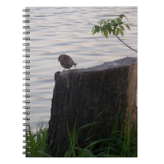 Vogel op een Stomp Spiraal Notebook Notitieboek (Voorkant)