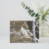 Vogel op een tak Briefkaart (Staand voorkant)