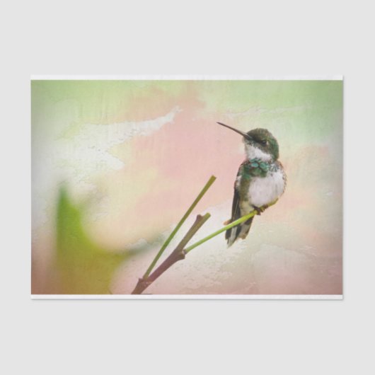 Vogel op een Waterverf Twig & Pastel Tissuepapier (Voorkant)