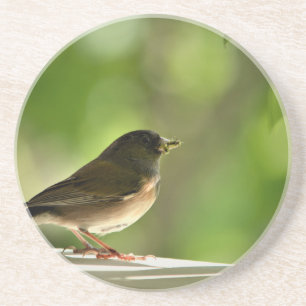Vogel op groen blad zandsteen onderzetter