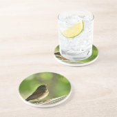 Vogel op groen blad zandsteen onderzetter (Zijkant)