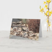 Vogel op het Rocks Folded Wenskaart Kaart (Gele Bloem)