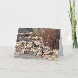 Vogel op het Rocks Folded Wenskaart Kaart