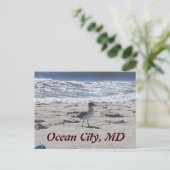 Vogel op het strand Briefkaart (Staand voorkant)