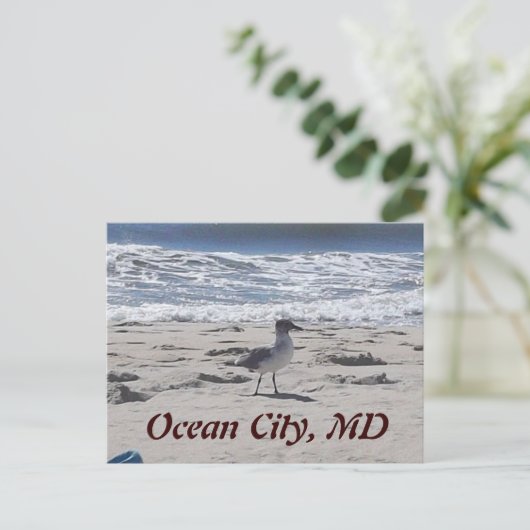 Vogel op het strand Briefkaart (Staand voorkant)