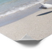 Vogel op het strand poster (Hoek)