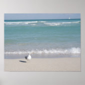 Vogel op het strand poster (Voorkant)